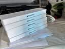 Apple/苹果 Pencil Pro 磁吸触控笔手写笔苹果笔电容笔书写绘画ipad笔 适用于iPad Pro/Air/mini机型 实拍图