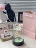 Rochli生日礼物送女生妈妈闺蜜朋友永生花玫瑰花束摆件教师节礼物送老师 彩金玫瑰+礼盒礼袋+彩灯 实拍图