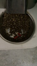 最宠（Paddy Time）猫零食夹心猫饼干80g*3牛肉益生菌 猫薄荷草宠物成幼猫咪磨牙洁齿 实拍图