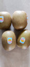 佳沛（zespri）新西兰 阳光金果18粒超大果原箱单果175-204g 猕猴桃水果礼盒 实拍图