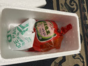 富爸爸白菜泡菜1000g/袋 整颗未切 韩式辣白菜泡菜下饭菜 实拍图