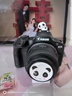 佳能（Canon）r100微单相机 4K数码高清旅游vlog视频 R100学生入门级微单 【520礼物】 R100 18-45 STM套机【日常热款】 套餐一【含128G卡 摄影包 电池 vlog套装 实拍图