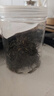 京东京造 玻璃杯 厚底直身茶水分离泡茶咖啡杯家居分享350ml六只装 实拍图