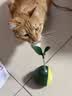 HELLOJOY猫玩具自嗨解闷逗猫棒不倒翁漏食球猫薄荷宠物猫玩的猫咪用品大全 实拍图