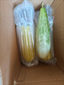 京鲜生山东羊角蜜甜瓜 净重4.5斤 单果300g+ 水果源头直发包邮 晒单实拍图