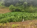 木林森（MULINSEN）凉鞋透气舒适简约休闲凉拖鞋耐磨青年沙滩鞋V2197882 实拍图