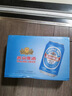 燕京啤酒 蓝听11°P拉格啤酒330ml*24听 春日热卖踏春送礼 实拍图