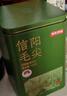 京东京造鲜来多26新茶信阳毛尖绿茶250g明前茶叶栗香嫩芽送礼盒自己喝自营 实拍图