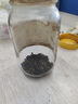 香不理品质好茶大份量新茶高山茶浓香型兰花香铁观音安溪自己喝茶叶500g 实拍图