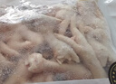 正大鸡爪净重2斤（单个鸡爪约40-50g） 柠檬鸡爪生鲜烧烤 实拍图