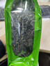 匠界茶叶云雾绿茶高山云雾绿茶新茶碧螺春袋装250g自己喝 实拍图