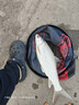 龙王恨鱼饵野战蓝鲫香腥钓饵江河湖库黑坑野钓鲫鱼鲤鱼草青鳊鱼钓鱼饵料 实拍图
