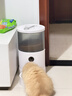 pidan猫砂 纯豆腐猫砂2.4kg*6包强力吸臭不易带出 可冲厕所非膨润土砂 实拍图