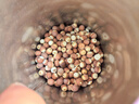 十月稻田 芡实 400g  圆粒红皮鸡头米 鸡头果 五谷杂粮粗粮 炖汤煲粥材料 实拍图