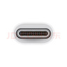 Apple/苹果 typc-c/usb-c转usb接口转换器 苹果旗舰店原装转接头u盘转换器 适用苹果iphone17/ipad/mac 实拍图