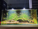 超能 低泡浓缩洗衣粉 橙花精油香 3.36斤 4倍洁净力 低泡易漂 实拍图