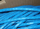 普联（TP-LINK） 六类千兆网线 CAT6类国标非屏蔽纯铜线芯双绞线 装修工程家装网络监控布线无氧铜箱线50米 EC6-50 实拍图