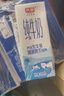 光明纯牛奶200ml*24盒优质乳蛋白营养早餐奶家庭分享装送礼量贩装 实拍图