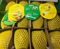 佳沛（zespri）新西兰 阳光金奇异果12粒特大果单果124-146g 猕猴桃水果礼盒 实拍图