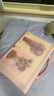 舒星【开学必备】A3画册收纳册画夹画袋美术生装画画纸画稿素描画油画图画8开美术作品集收纳册 粉 实拍图