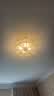 三洛（SANLUO）美式全铜吸顶灯卧室房间灯欧式简约餐厅主卧阳台书房儿童房灯H03 H03-4C(直径45cm)+LED三色灯泡 实拍图