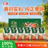 生喜朗玻璃瓶透明大肚花瓶插花水养水培容器吊钟富贵竹高级摆件客厅餐桌 实拍图