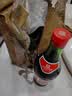 保宁醋 陈醋5度430ml*2瓶 一级金标粮食酿造凉拌海鲜调味饺子蘸料 实拍图