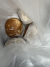 广州酒家核桃包750g 20个 早餐半成品 广式早茶点心 包子速食速冻生鲜 实拍图