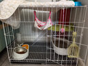 汪野君养猫新手全套用品猫砂盆套装喂食喂水器绒布猫窝猫玩具组合十件套 实拍图