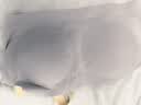 like uu女童内衣发育期儿童内衣粉底液隐形背心校服神器青少年运动内衣 背心-蒲公英白 均码 PLUS 适合150-170cm/100-130斤 实拍图