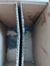 立白大师香氛洗衣液 格拉斯玫瑰4斤装 洗衣香水 香味持久  内衣可用 实拍图