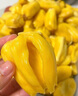 京鲜生海南老树菠萝蜜 10-15斤净重10斤+  新鲜水果 京东自营 源头直发 实拍图