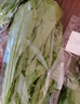 油麦菜约300g 实拍图