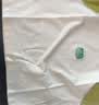 嘟嘟家[7A抑菌]儿童衣服秋装男童T恤长袖秋女童衣服宝宝童装潮 绿色90 实拍图