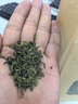 一杯香茶叶绿茶明前头芽高山云雾250g2026新茶春茶礼盒装日照足自己喝 实拍图