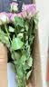 【方德玫瑰】云南鲜花基地直发玫瑰花鲜切38妇女节女神节生日礼物 品牌40-50cm紫霞10支 实拍图