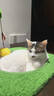 HELLOJOY猫抓板猫爬架一体耐磨不掉屑剑麻抓柱耐抓逗猫棒猫咪玩具自嗨解闷 实拍图