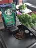 星巴克（Starbucks）新客尝鲜咖啡豆盲盒1袋 新鲜烘焙100%阿拉比卡豆 手冲黑咖啡200g 实拍图