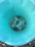 小熊驾到烧烤调料礼盒装8瓶装240g椒盐辣椒花椒五香芝麻黑胡椒孜然撒料 实拍图