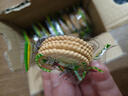 【全网爆款】香葱薄脆饼干散装超薄片早餐休闲零食品整箱批发5.5g 香葱薄脆饼干20包（活动款）80片 实拍图