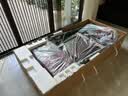 舒华（SHUA）小型家用跑步机家庭用A9爬坡走步机减震室内静音可折叠马拉松奥运 全能王A9pro-18%大坡度/创新倒走 实拍图