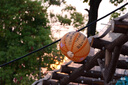 松下S9（18-40mm F4.5-6.3）套机（Panasonic） 全画幅微单 实时Lut 滤镜直出 连接app极速分享-橙 实拍图