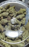 网易严选猫用薄荷饼干宠物幼猫成猫猫咪零食饼干薄荷味 95克*8罐 实拍图