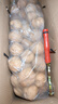 新疆185零食纸皮生核桃5斤原味坚果孕妇零食核桃纸皮薄皮精选 【185纸皮核桃】2500克礼盒装 实拍图