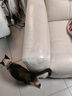 欢宠网防猫抓贴沙发保护套猫咪猫爪防抓垫防挠板保护膜贴膜透明防水3米 实拍图