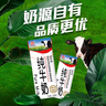 辉山纯牛奶250ml*24盒 3.1g乳蛋白 100mg钙 全新升级 营养牛奶 实拍图