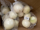 京百味 甘肃黄洋葱 750g 简装 新鲜蔬菜 实拍图