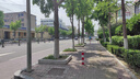 京鲜生海南哈密瓜西州蜜/西周蜜 3粒装 净重8-10斤 生鲜水果礼盒 实拍图