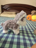 澳贝（auby）ai玩具情感陪伴机器人毛绒小狗益智能对话儿童礼物电子宠物1-6岁 实拍图