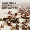 京东京造荞麦护颈枕  高山苦荞荞麦壳填充枕芯高度可调花草枕头偏硬睡感 实拍图
